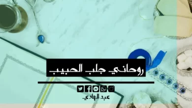 روحاني جلب الحبيب - الشيخ الروحاني عبد الهادي