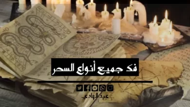 فك جميع أنواع السحر - الشيخ الروحاني عبد الهادي